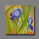 Spring Irises - 6x6