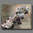 White Orchid Branch and Cambodian Print #2 - 24x30